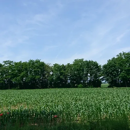 Le Moulin D'oscar & - Mulhouse Nord Aparthotel Baldersheim