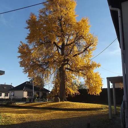 Le Moulin D'oscar & - Mulhouse Nord 4*