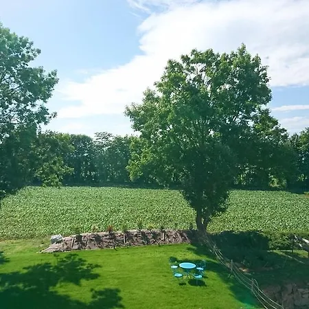 شقة فندقية Le Moulin D'oscar & - Mulhouse Nord 4*